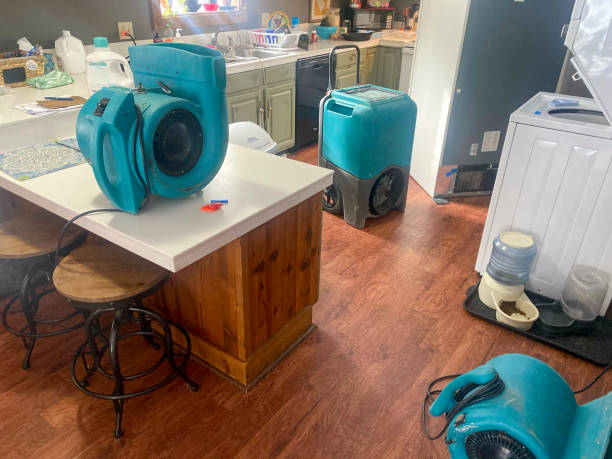  Breckinridge Center, KY Water damage restoration Pros