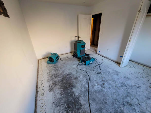Best Ceiling water damage repair  in Breckinridge Center, KY