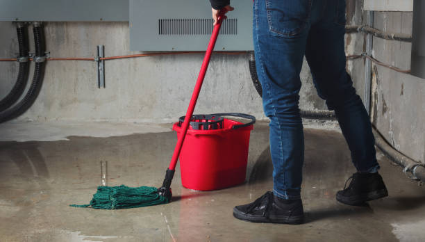 Best Flood restoration services  in Breckinridge Center, KY