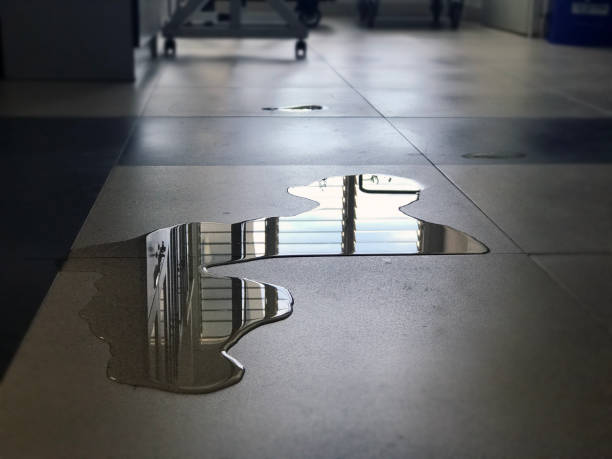 Best Commercial water damage restoration  in Breckinridge Center, KY