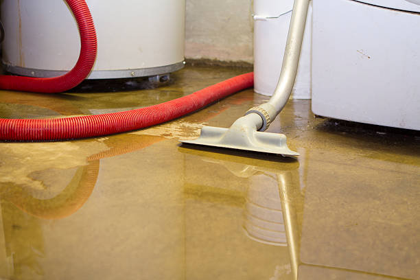 Best Sewage cleanup and water damage restoration  in Breckinridge Center, KY