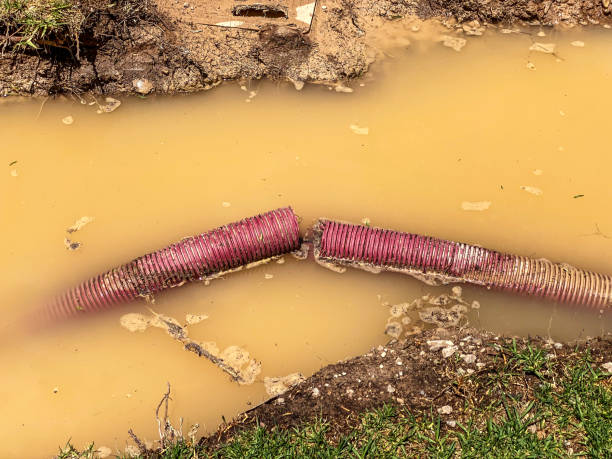 Best Water damage mitigation services  in Breckinridge Center, KY